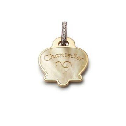 Anima Charm