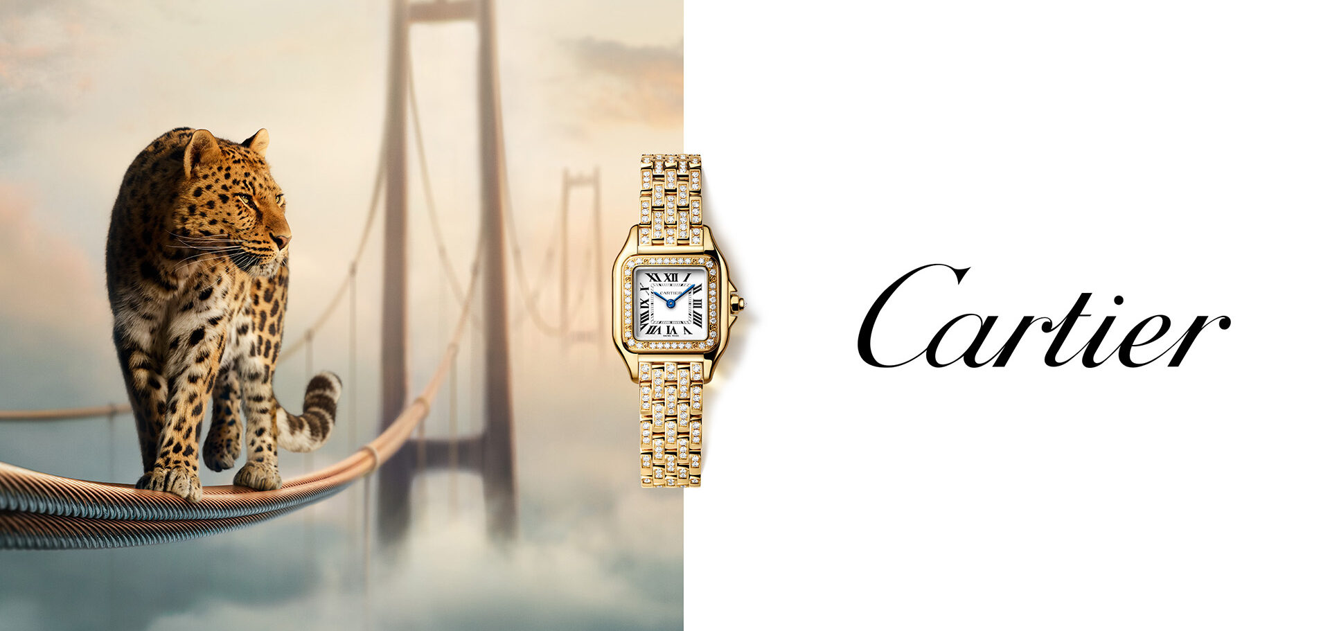 PUWA11690 Panthere YG SP 2560x1280 WJPN0059